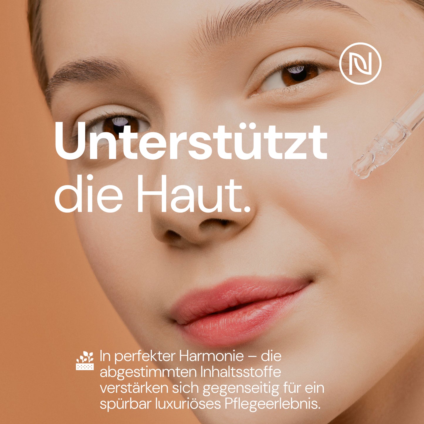 Glättendes und pflegendes BIO-Gesichtsöl - Jojobaöl (Jojoba), Weihrauchöl, Rizinusöl - Für geschmeidige, strahlende Haut - Geeignet für alle Hauttypen: Trockene bis Mischhaut (1 x 100ml, Weihrauch)