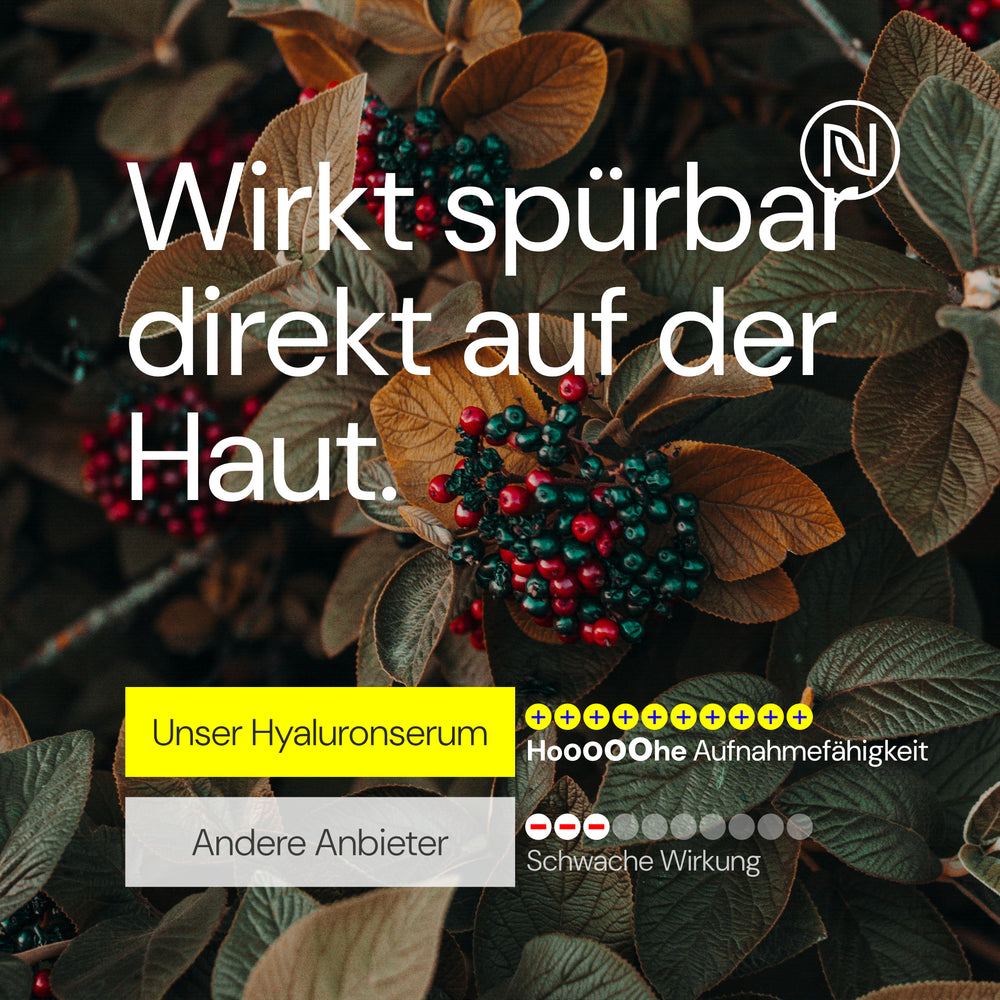 
                      
                        BIO Hyaluron Serum hochdosiert; Beste Hyaluronsäure (Oligo); 8-Fach Anti Aging & Anti Falten Komplex; Hyaluronserum + Aloe Vera & Vitamin C; Naturkosmetik 100% vegan; Made in Germany (100ml, Hyaluron)
                      
                    