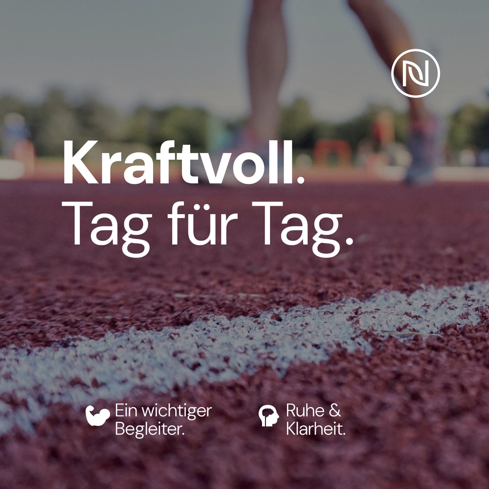 
                      
                        Magnesium Kapseln - optimal hochdosiert je Kapsel 667mg, davon 400mg elementares Magnesium pro Kapsel - sehr hoher Magnesium-Gehalt - Laborgeprüft, vegan & rein (1 x 180 Kapseln)
                      
                    