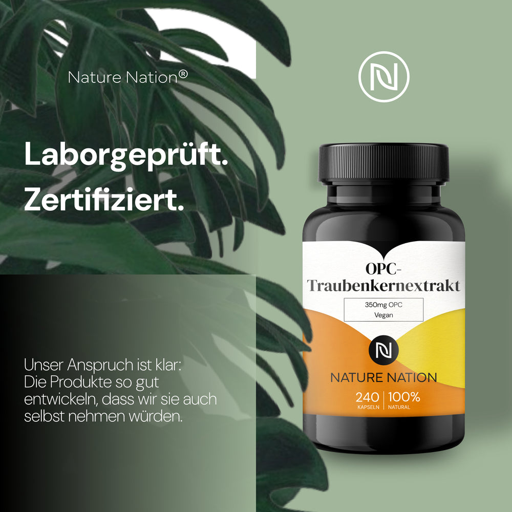 
                      
                        OPC-Traubenkernextrakt - 240 vegane Kapseln, antioxidativ mit hoher Verfügbarkeit, Vorrat für 8 Monate, ohne Zusatzstoffe, in Deutschland produziert
                      
                    