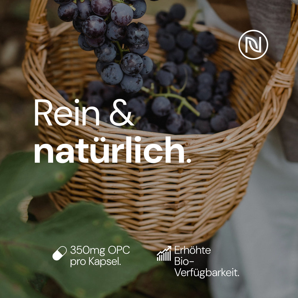 
                      
                        OPC-Traubenkernextrakt - 240 vegane Kapseln, antioxidativ mit hoher Verfügbarkeit, Vorrat für 8 Monate, ohne Zusatzstoffe, in Deutschland produziert
                      
                    