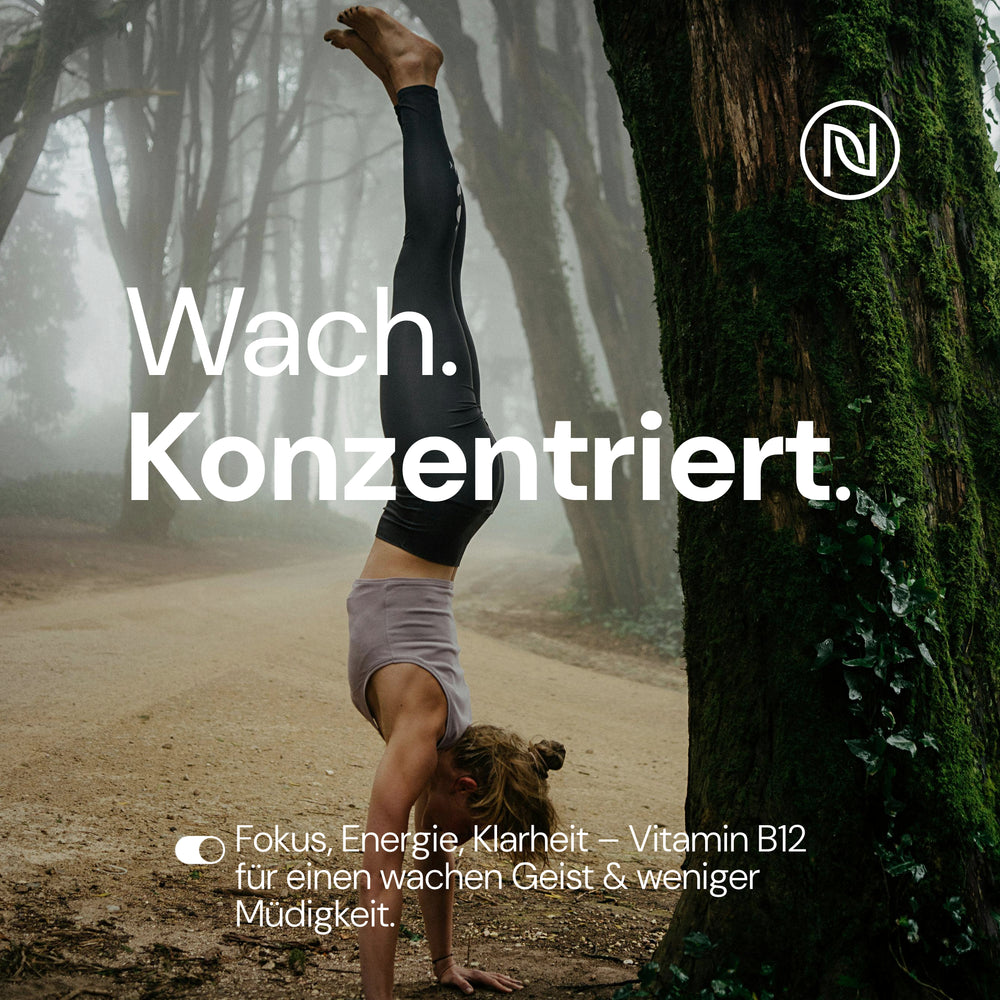 
                      
                        Vitamin B12 - MHA Formel mit Hydroxocobalamin, Methylcobalamin, Vitamin C & Acai - Hochdosiert & vegan - Laborgeprüft, ohne Zusätze (1 x 60 Kapseln: Vorrat für 2 Monate, Geschmacklos)
                      
                    