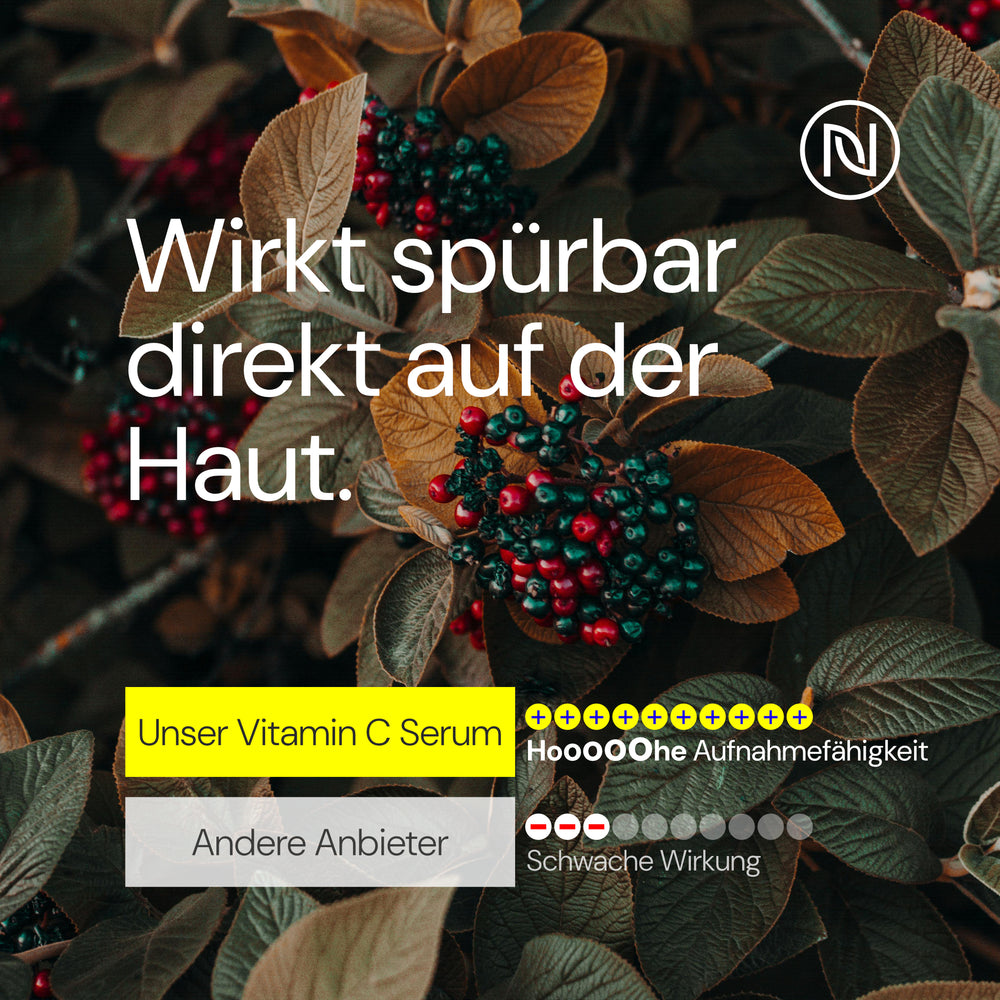 
                      
                        BIO Vitamin C Pro Serum 10% hochdosiert - 6-Fach Anti Aging & Anti Falten Komplex; Gegen dunkle Flecken; Mit Hyaluronsäure & Aloe Vera; Naturkosmetik 100% vegan; Made in Germany (100ml, Vitamin C)
                      
                    