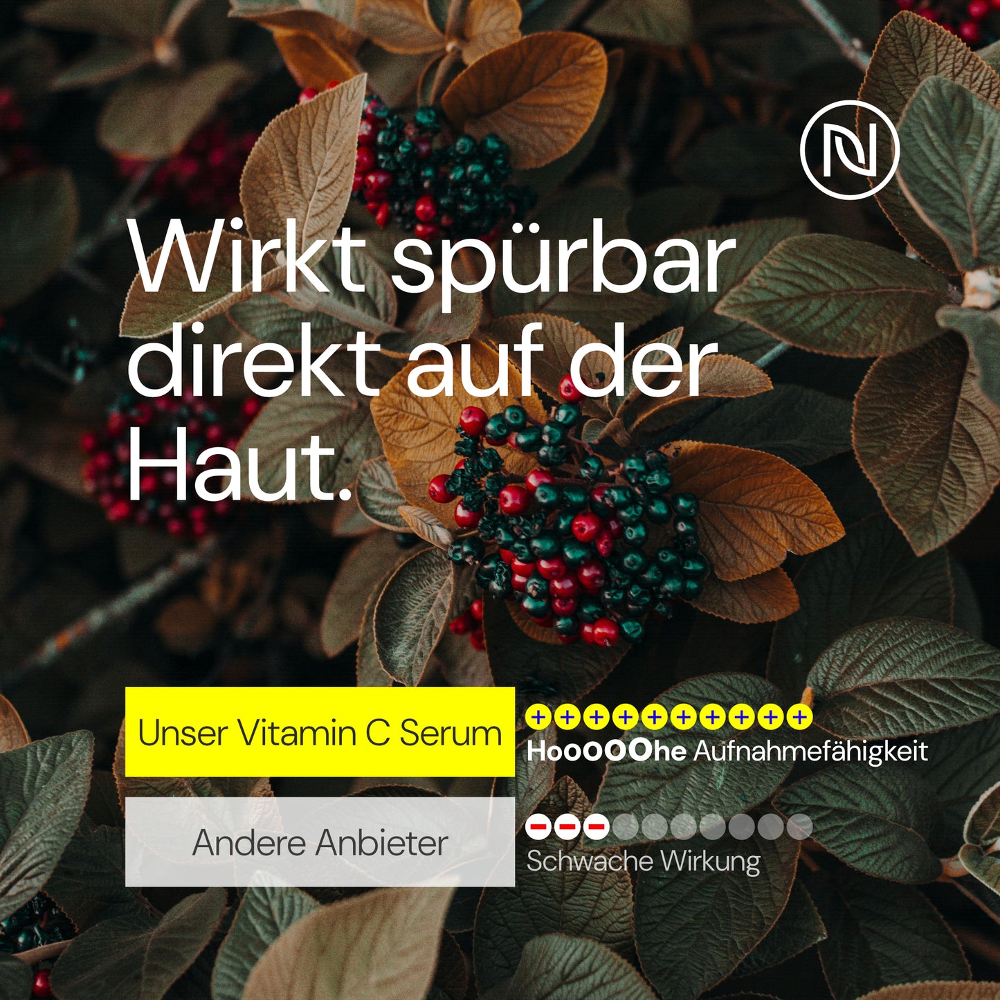BIO Vitamin C Pro Serum 10% hochdosiert - 6-Fach Anti Aging & Anti Falten Komplex; Gegen dunkle Flecken; Mit Hyaluronsäure & Aloe Vera; Naturkosmetik 100% vegan; Made in Germany (100ml, Vitamin C)