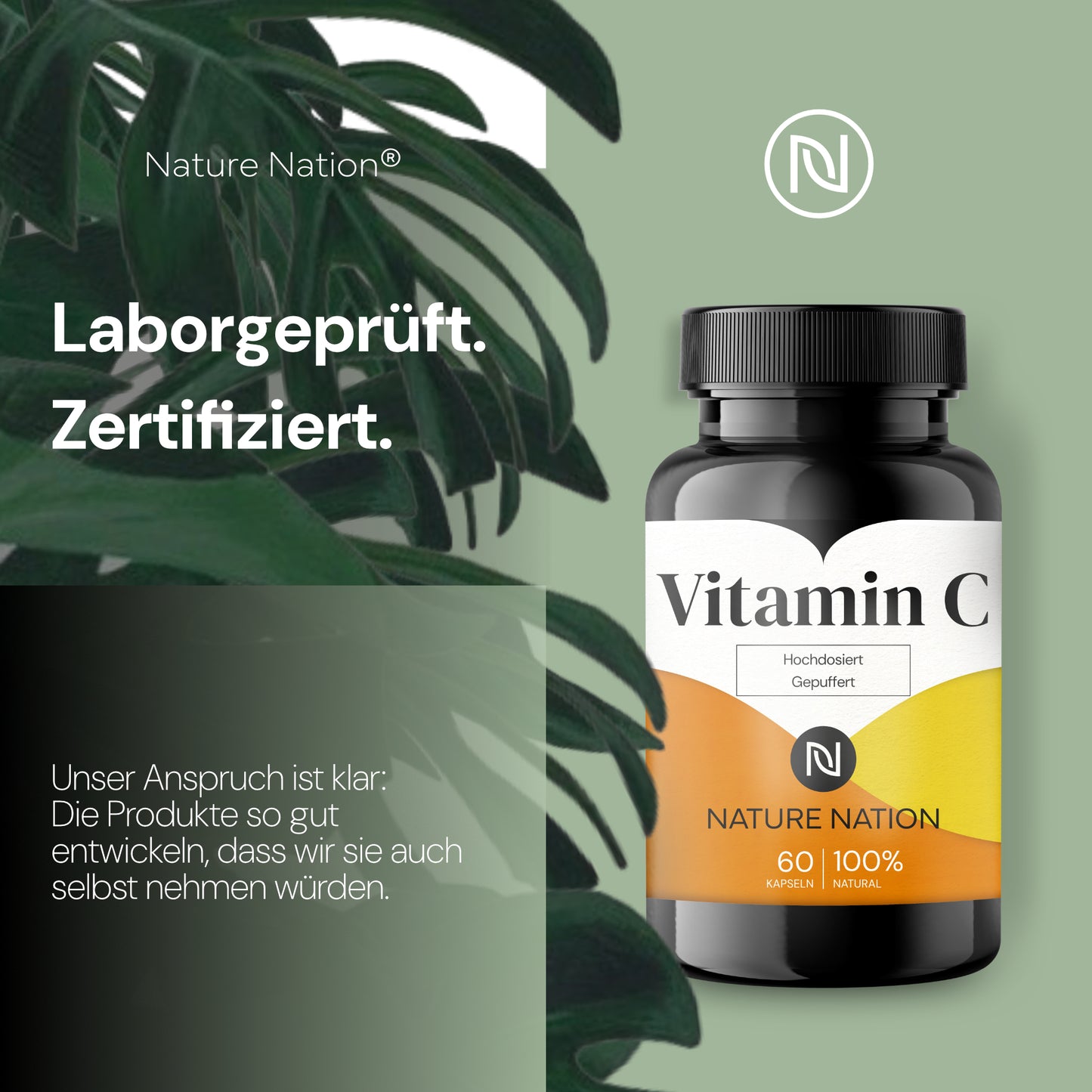 Vitamin C - Hochdosiert & gepuffert: 1000mg pro Kapsel, mit Calcium Ascorbat - Laborgeprüft & vegan - Magenfreundlich & ohne Zusatzstoffe (1 x 60 Kapseln: Vorrat für 1 Monat, Geschmacklos)