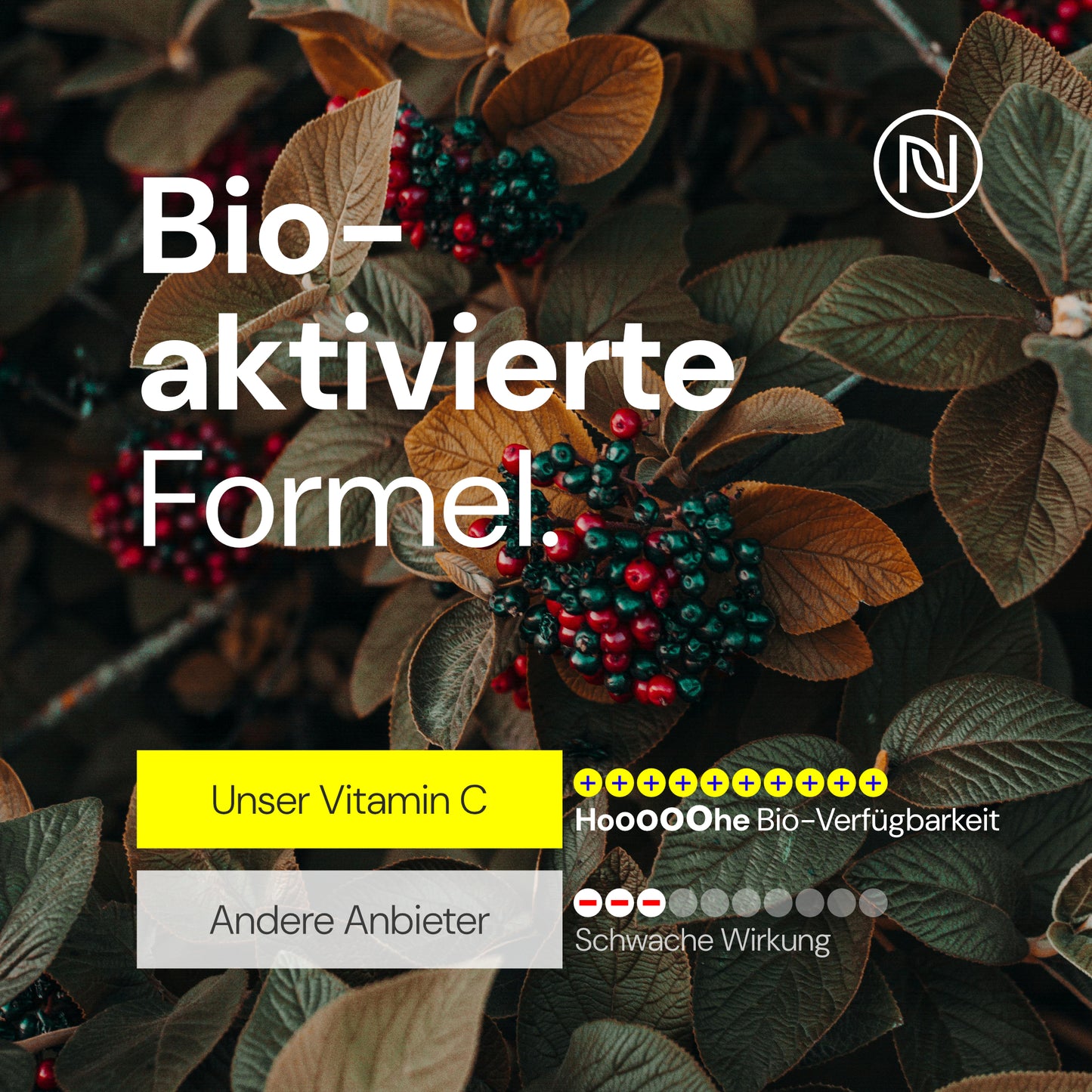 Vitamin C - Hochdosiert & gepuffert: 1000mg pro Kapsel, mit Calcium Ascorbat - Laborgeprüft & vegan - Magenfreundlich & ohne Zusatzstoffe (1 x 60 Kapseln: Vorrat für 1 Monat, Geschmacklos)
