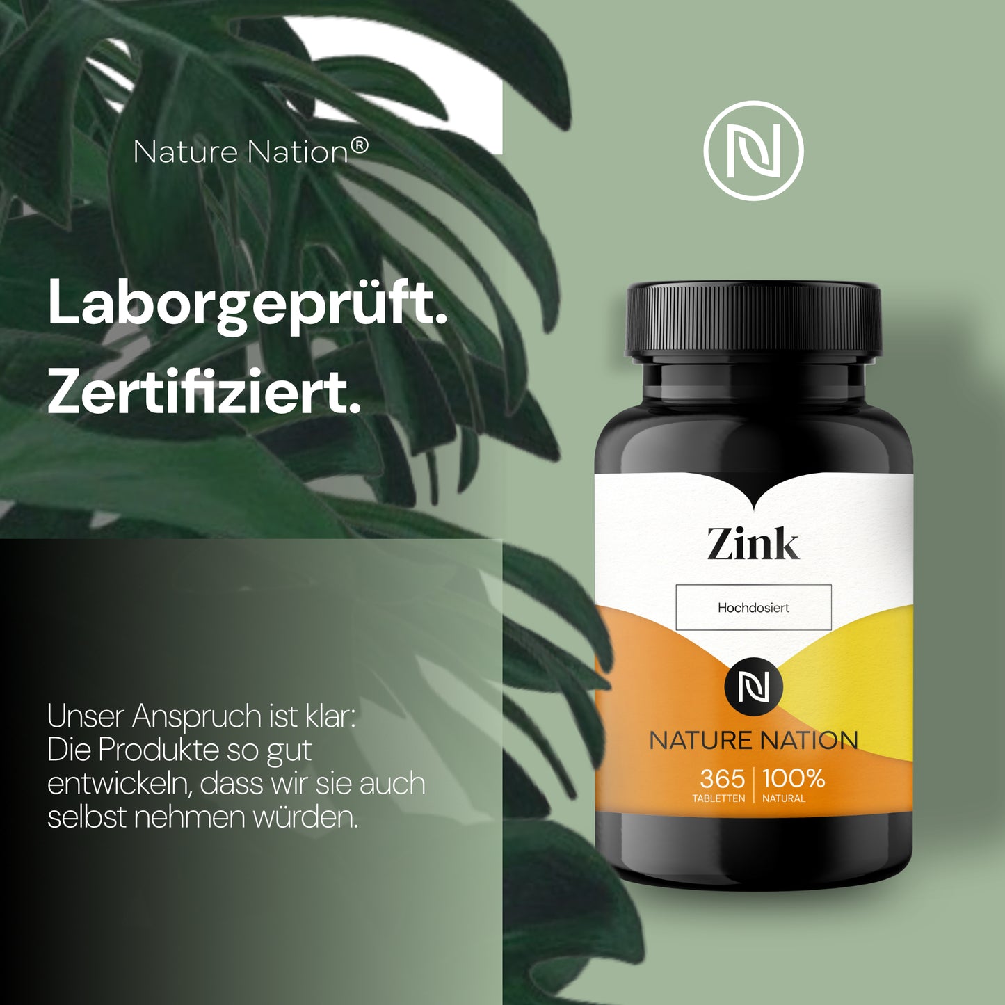Zink 25mg - Hoch verfügbares Zinkbisglycinat (Zink-Chelat), mit guter Verträglichkeit - Hochdosierte Formulierung - Laborgeprüft, vegan, in Deutschland produziert (1 x 365 Tabletten)