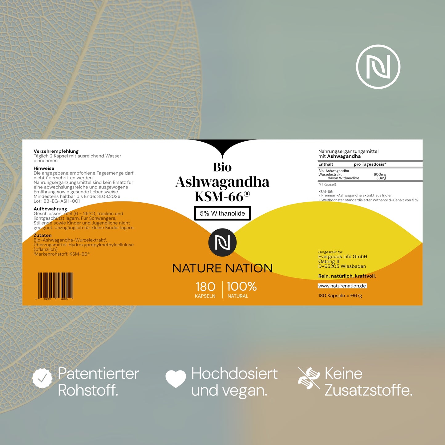 Ashwagandha KSM-66® - Hoch verfügbares Withanolid (+5%) im Halbjahresvorrat - Hochdosierte Formulierung - Laborgeprüft, vegan, in Deutschland produziert (1 x 180 Kapseln)