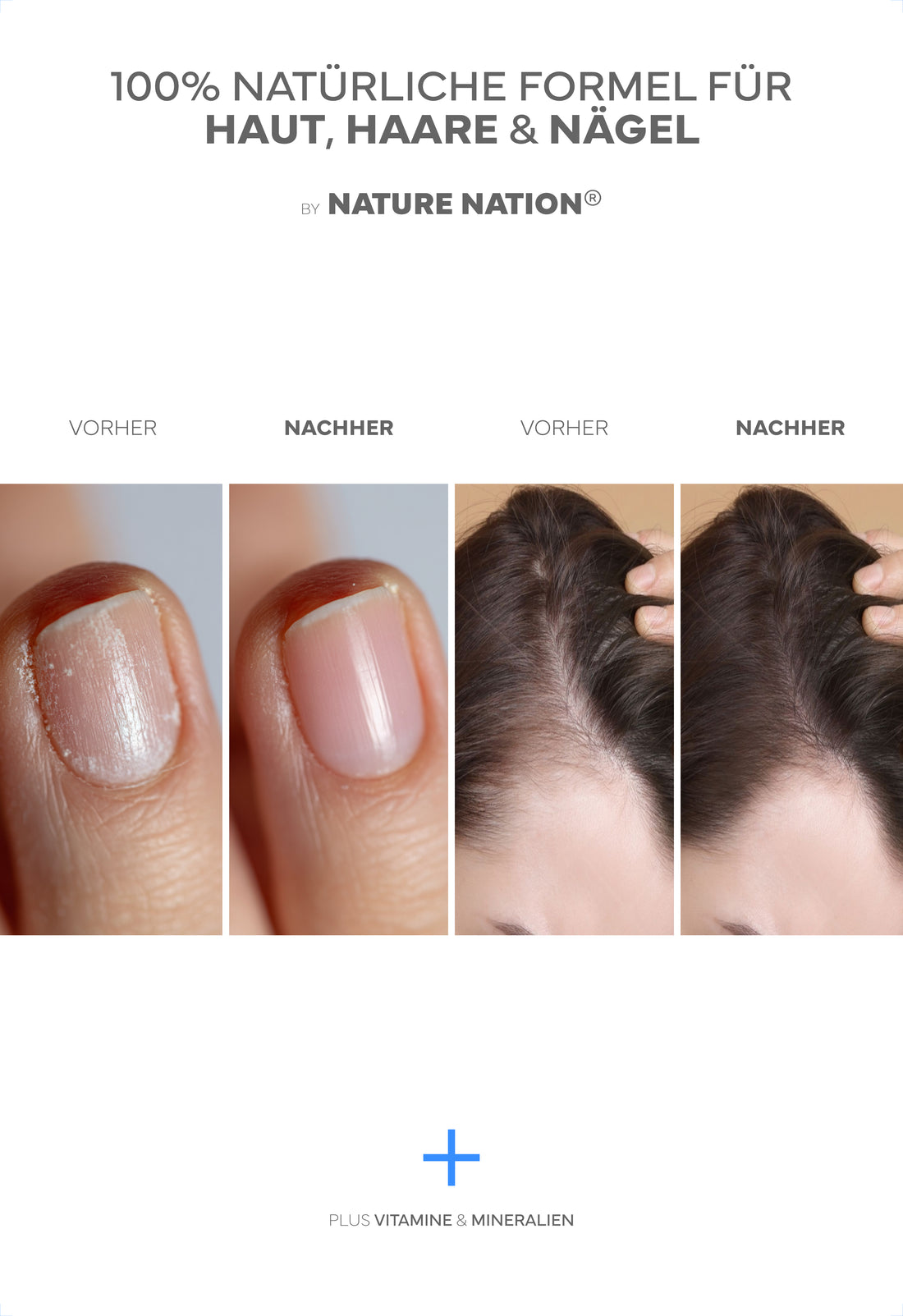Kollagen Pulver + Propolis, 450g: Premium Kollagen-Hydrolysat Typ 1, 2 & 3 mit Bio-Propolis für Haut, Haare, Nägel & Gelenke