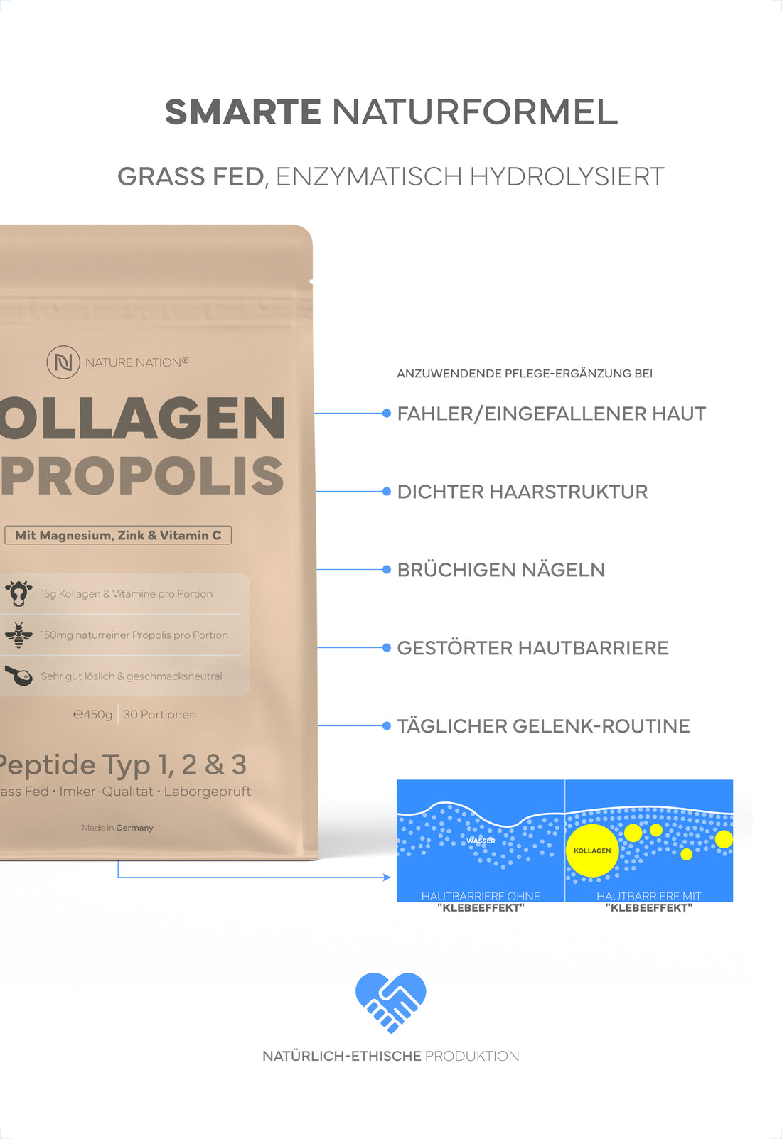 Kollagen Pulver + Propolis, 450g: Premium Kollagen-Hydrolysat Typ 1, 2 & 3 mit Bio-Propolis für Haut, Haare, Nägel & Gelenke